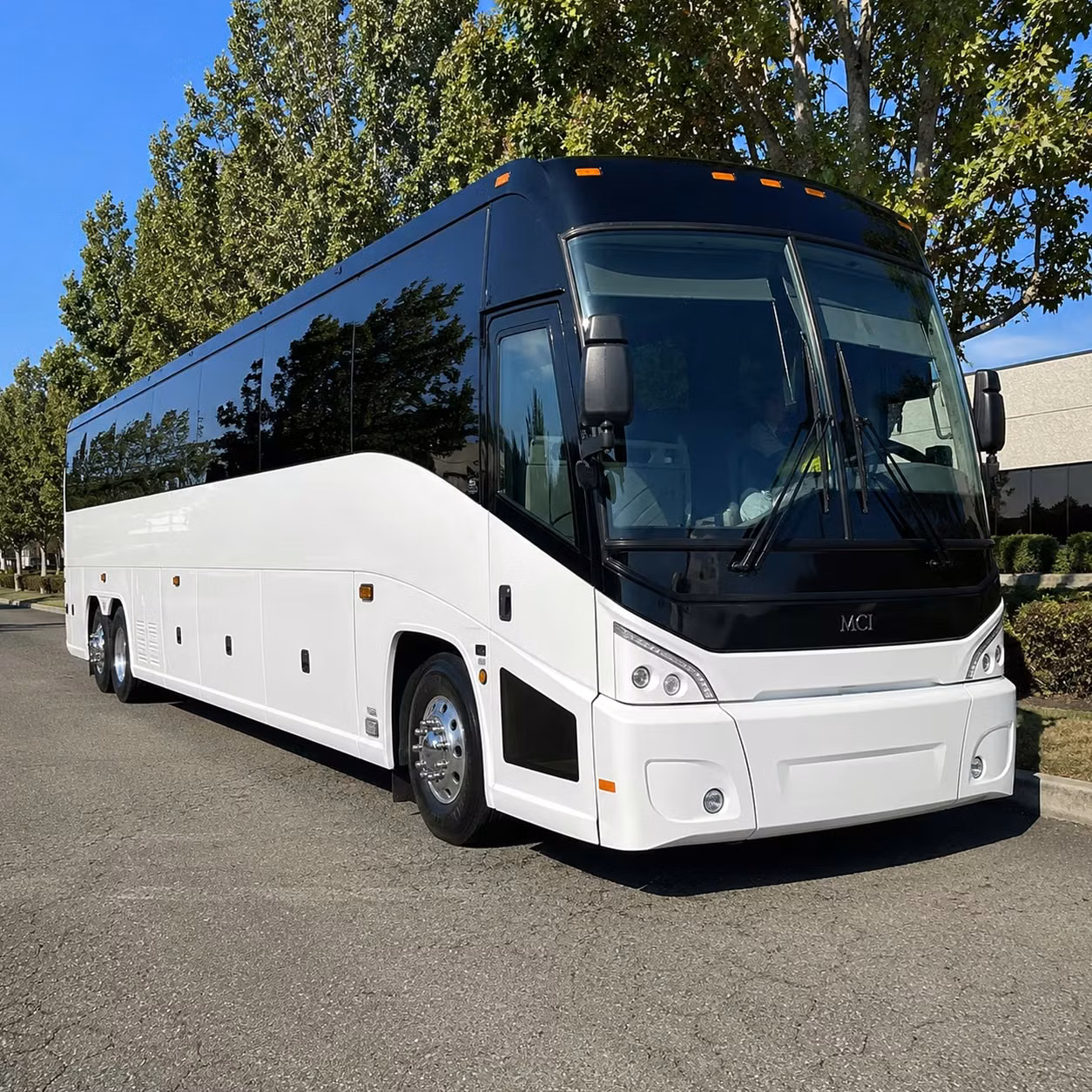 56 passenger charter bus